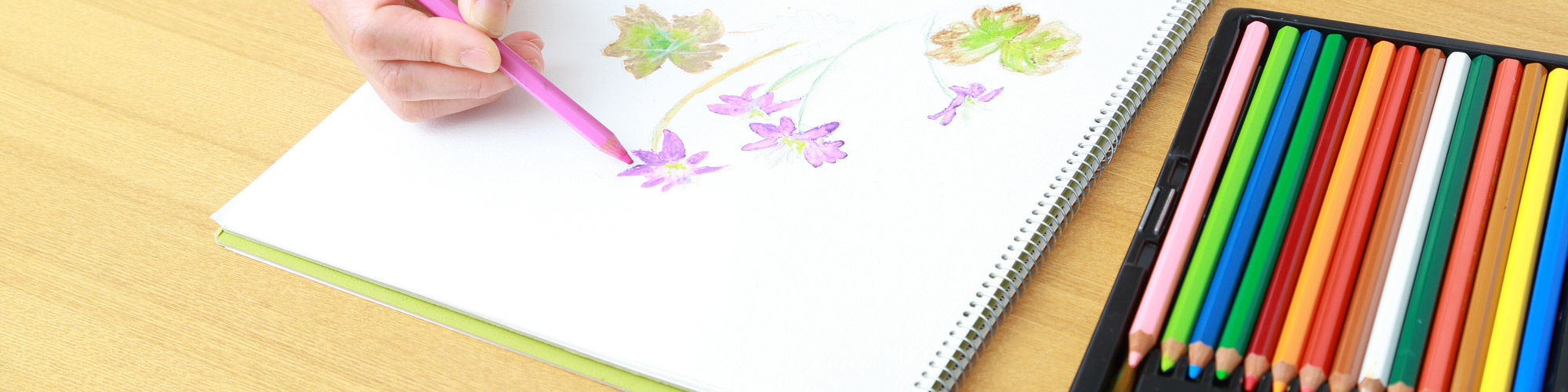 イメージ イメージ